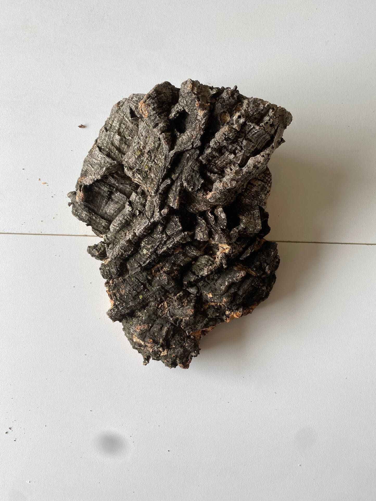Cork Bark
