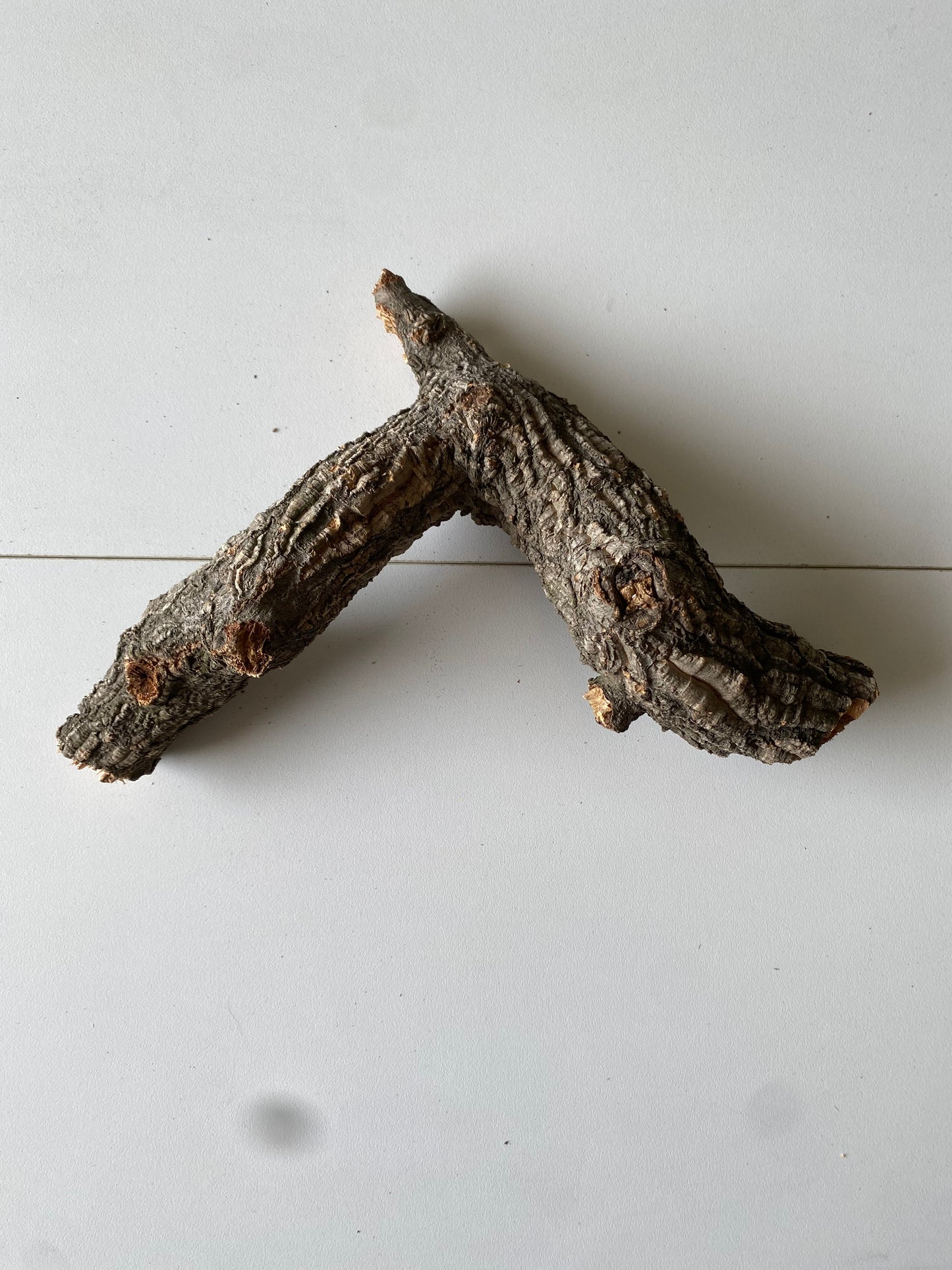 Cork Branch